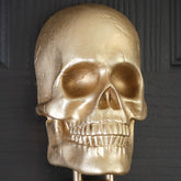 Skull Door Knocker
